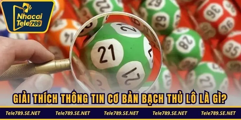 Giải thích đôi nét thông tin cơ bản bạch thủ lô là gì?