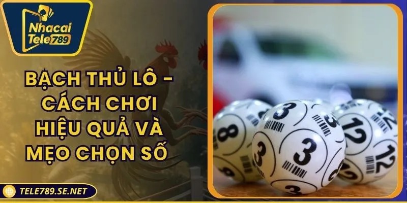 Bạch Thủ Lô - Cách Chơi Hiệu Quả Và Mẹo Chọn Số Chuẩn