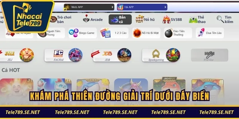 Khám phá thiên đường giải trí dưới đáy biển