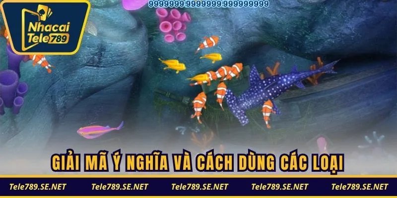 Giải mã ý nghĩa và cách dùng các loại súng bắn cá