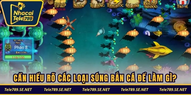 Cần hiểu rõ các loại súng bắn cá để làm gì?