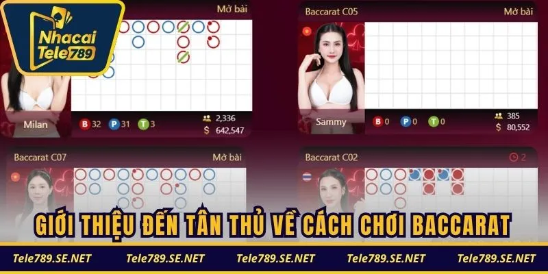 Giới thiệu đến tân thủ về cách chơi Baccarat