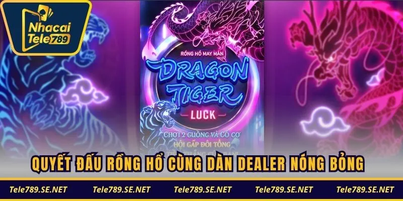 Quyết đấu Rồng Hổ cùng dàn Dealer nóng bỏng