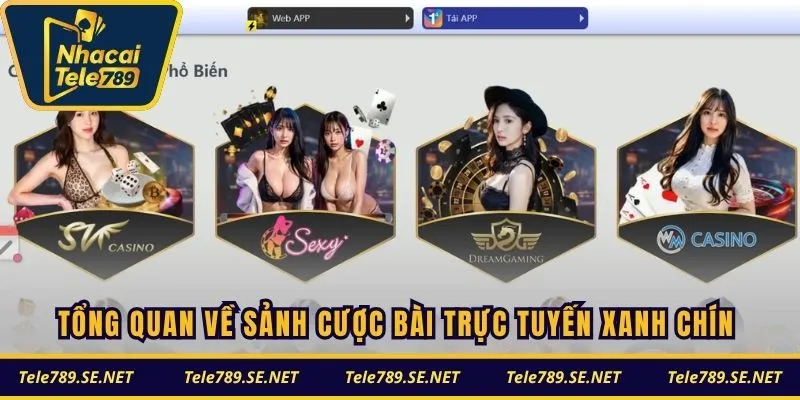 Tổng quan về sảnh cược bài trực tuyến xanh chín