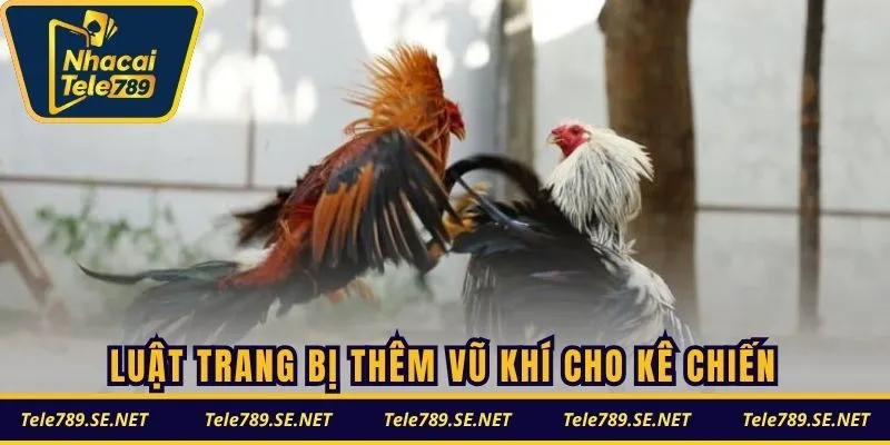 Luật trang bị thêm vũ khí cho kê chiến