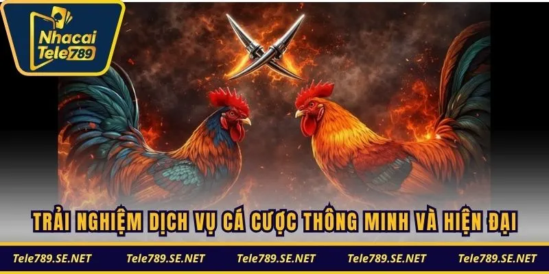 Trải nghiệm dịch vụ cá cược thông minh và hiện đại