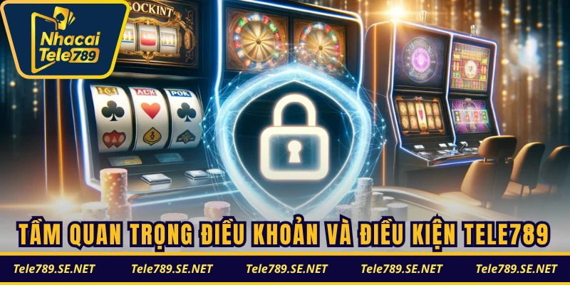 Tầm quan trọng của điều khoản và điều kiện TELE789