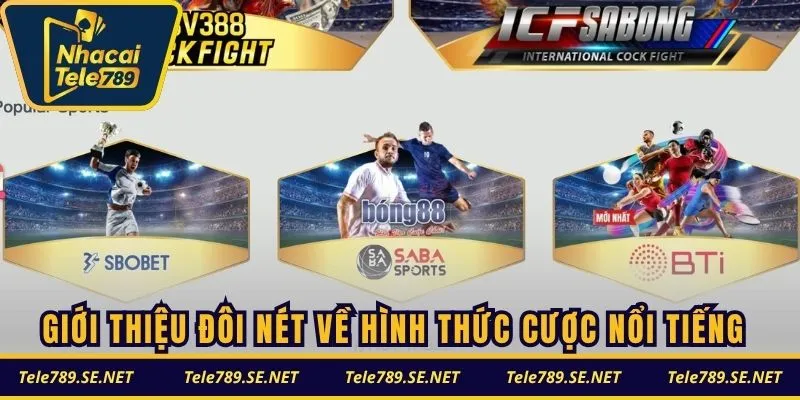 Giới thiệu đôi nét về hình thức cược nổi tiếng