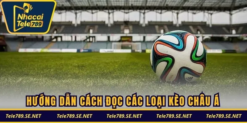 Hướng dẫn tường tận cách đọc các loại kèo châu Á