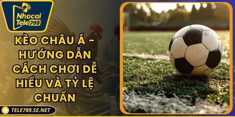 Kèo Châu Á - Hướng Dẫn Cách Chơi Dễ Hiểu Và Tỷ Lệ Chuẩn