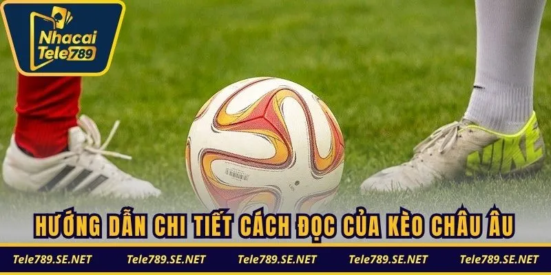 Hướng dẫn chi tiết cách đọc của kèo Châu Âu