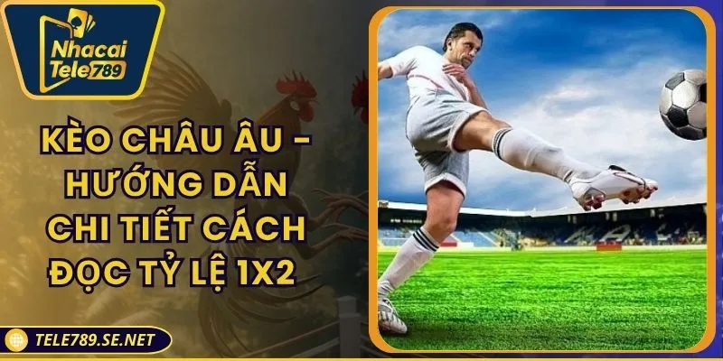 Kèo Châu Âu - Hướng Dẫn Chi Tiết Cách Đọc Tỷ Lệ 1x2