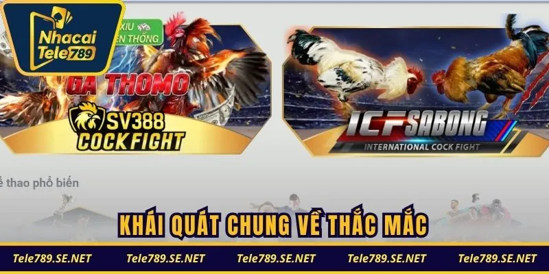 Khái quát chung về thắc mắc TELE789 có uy tín không