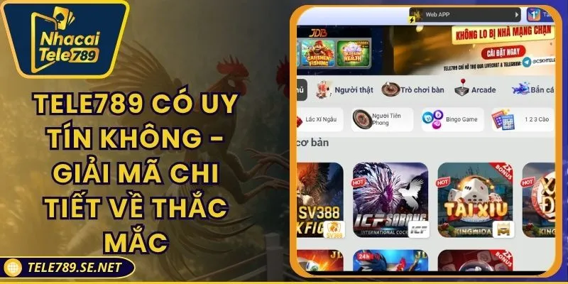 TELE789 Có Uy Tín Không - Giải Mã Chi Tiết Về Thắc Mắc