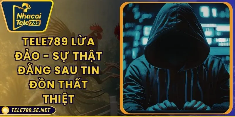 Tele789 Lừa Đảo - Sự Thật Đằng Sau Tin Đồn Thất Thiệt