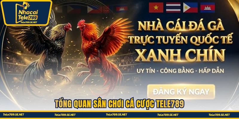 Tổng quan sân chơi cá cược Tele789